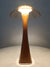 Acrylic Cordless Nordic LED Table Lamp