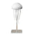 Jellyfish Night Light with Bluetooth Humidifier