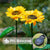 LED Solar Sunflower Lights