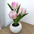 LED Tulip Table Lamp